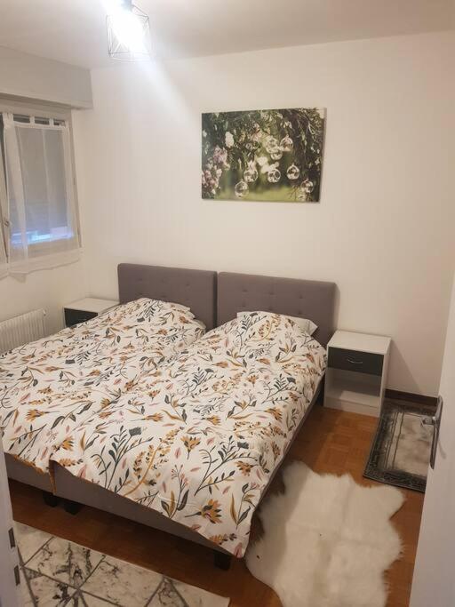 Magnifique T2 au centre ville - Appartement 1 Chambre - 13