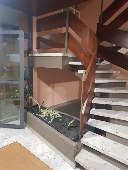 Magnifique T2 au centre ville - Appartement 1 Chambre - 18