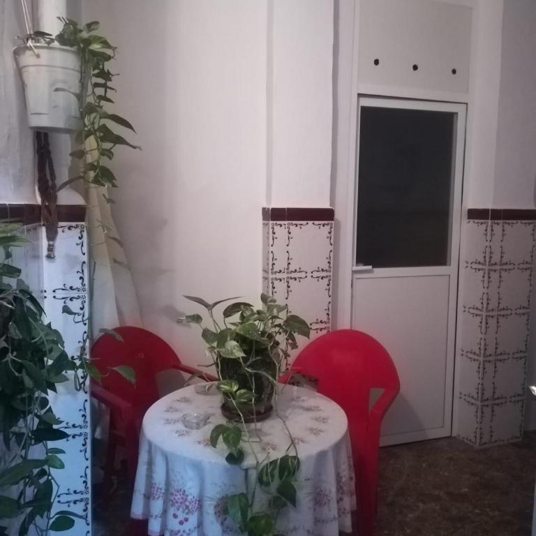 PLANTA BAJA EN SANTA POLA - Casa de 3 dormitorios - 17