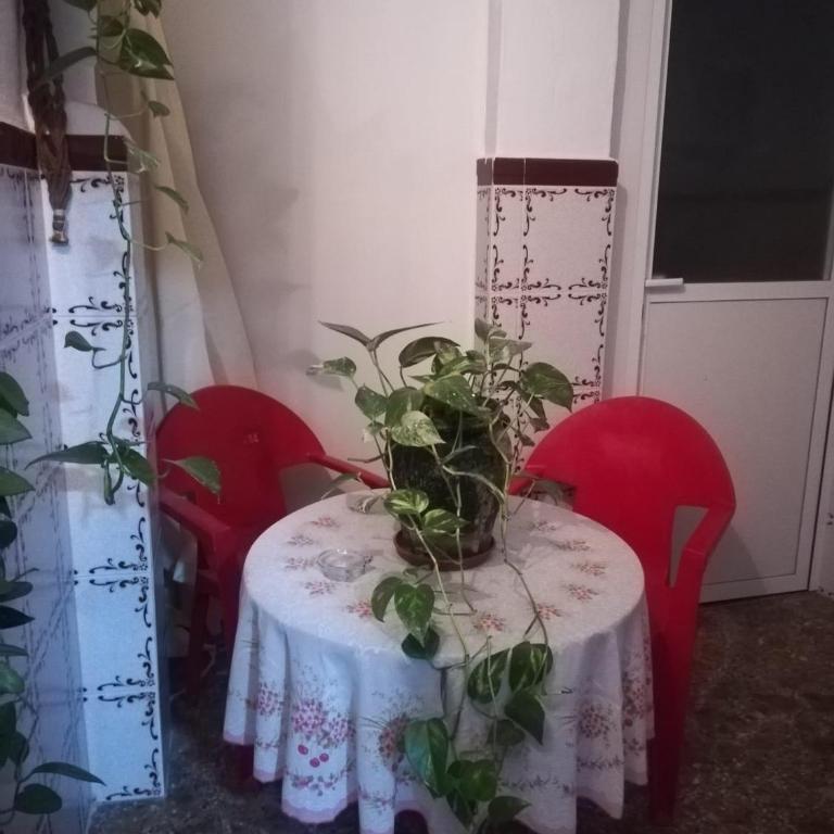 PLANTA BAJA EN SANTA POLA - Casa de 3 dormitorios - 18