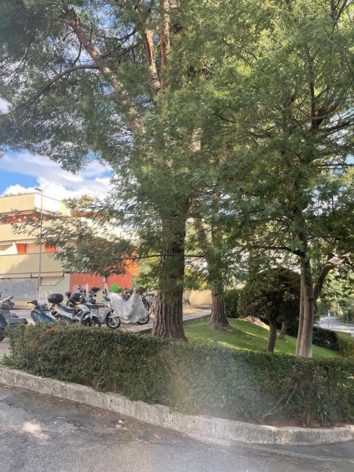 La casa di Teri a Chiavari - Appartamento con 2 Camere da Letto - 5