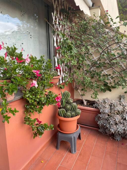 La casa di Teri a Chiavari - Appartamento con 2 Camere da Letto - 15