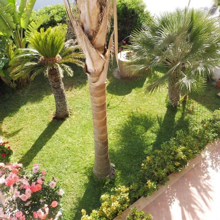Appartamento in Villa a 100 metri dal mare - Appartamento con 2 Camere da Letto - 4