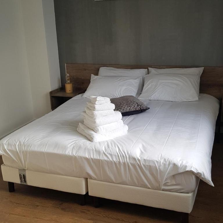 Suite Deluxe, calme proche Airbus et Chantiers de l'Atlantique - Appartement 1 Chambre - 16
