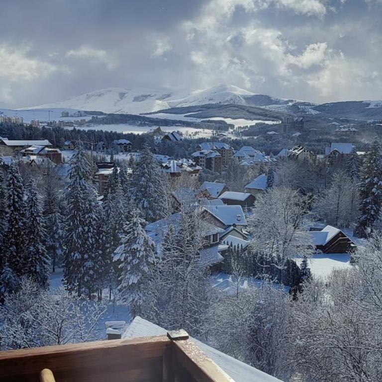 Golden View Zlatibor - Apartman - 32