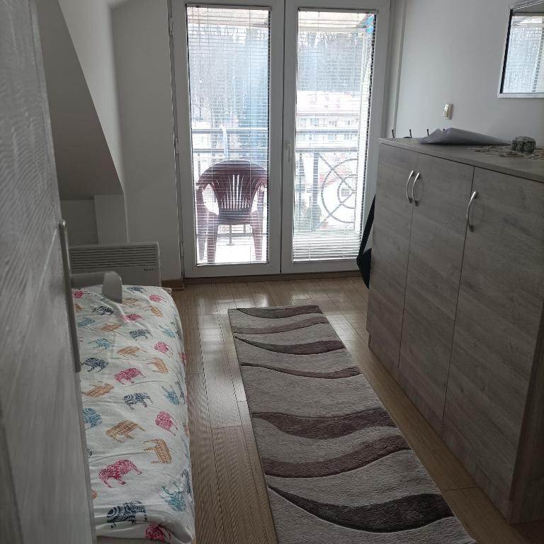 Apartman Vrnjacka zora - Apartman sa 1 Spavaćom Sobom - 9