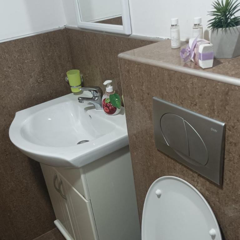 Apartman Vrnjacka zora - Apartman sa 1 Spavaćom Sobom - 20