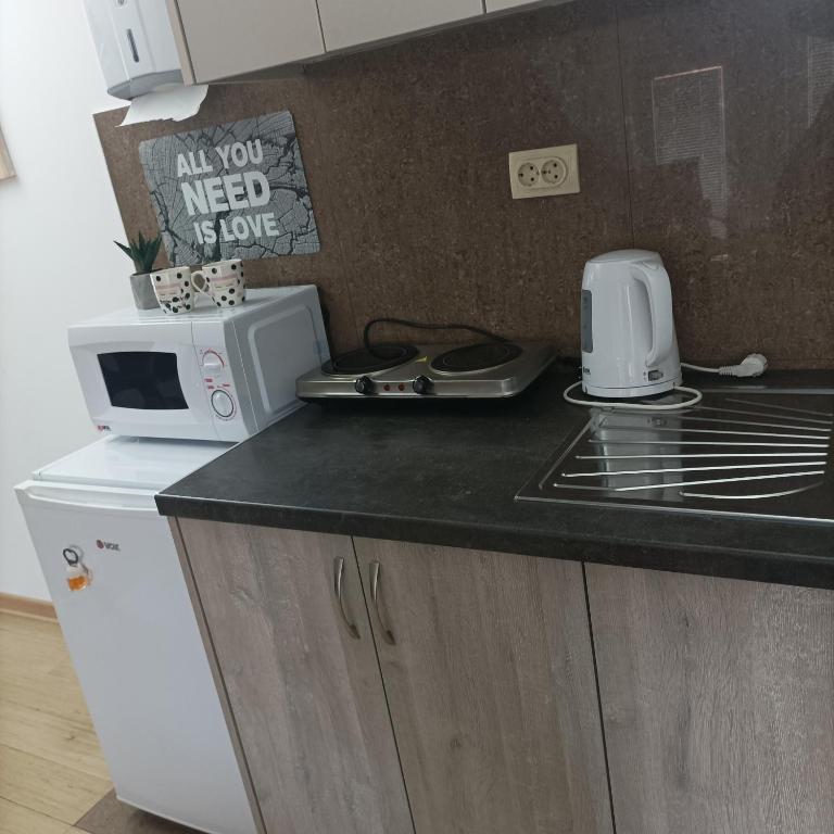Apartman Vrnjacka zora - Apartman sa 1 Spavaćom Sobom - 14