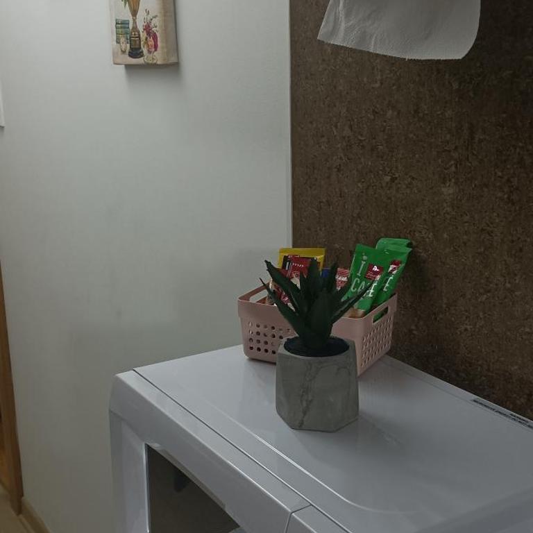 Apartman Vrnjacka zora - Apartman sa 1 Spavaćom Sobom - 16