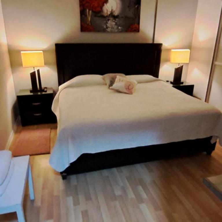Habitaciones Narvarte Del Valle - Habitación Superior con cama extragrande - 6