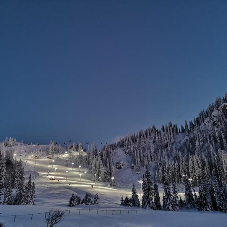 Magi - One-Bedroom Apartment - 33