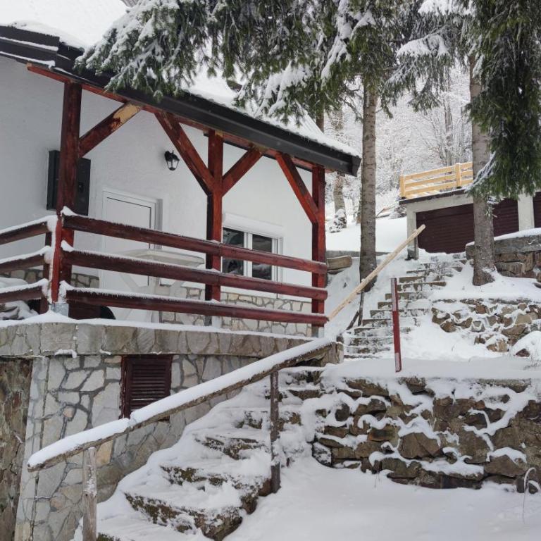 Sova Kopaonik - Two-Bedroom Villa - 29