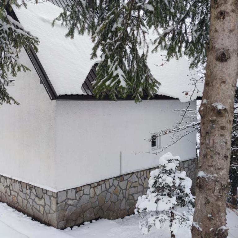 Sova Kopaonik - Two-Bedroom Villa - 30