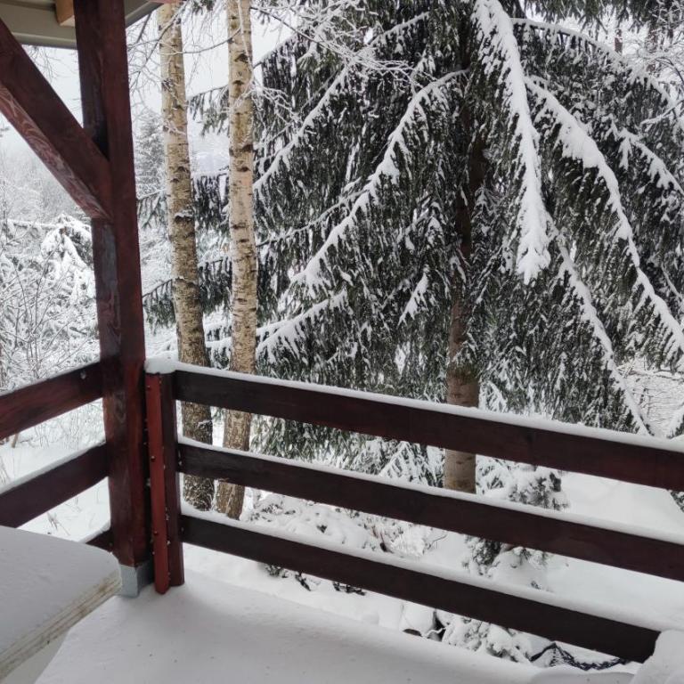 Sova Kopaonik - Two-Bedroom Villa - 27