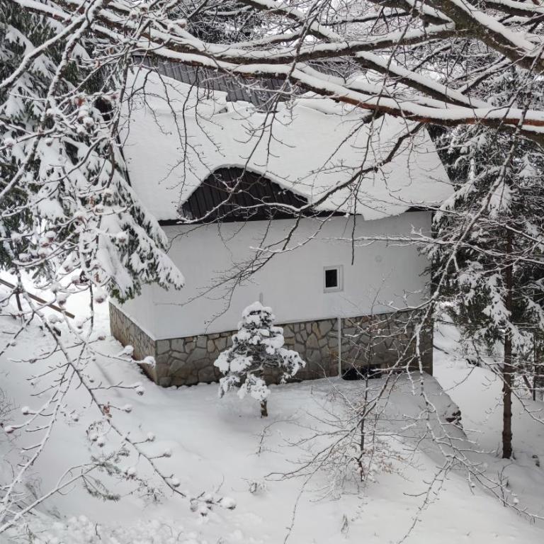 Sova Kopaonik - Two-Bedroom Villa - 35