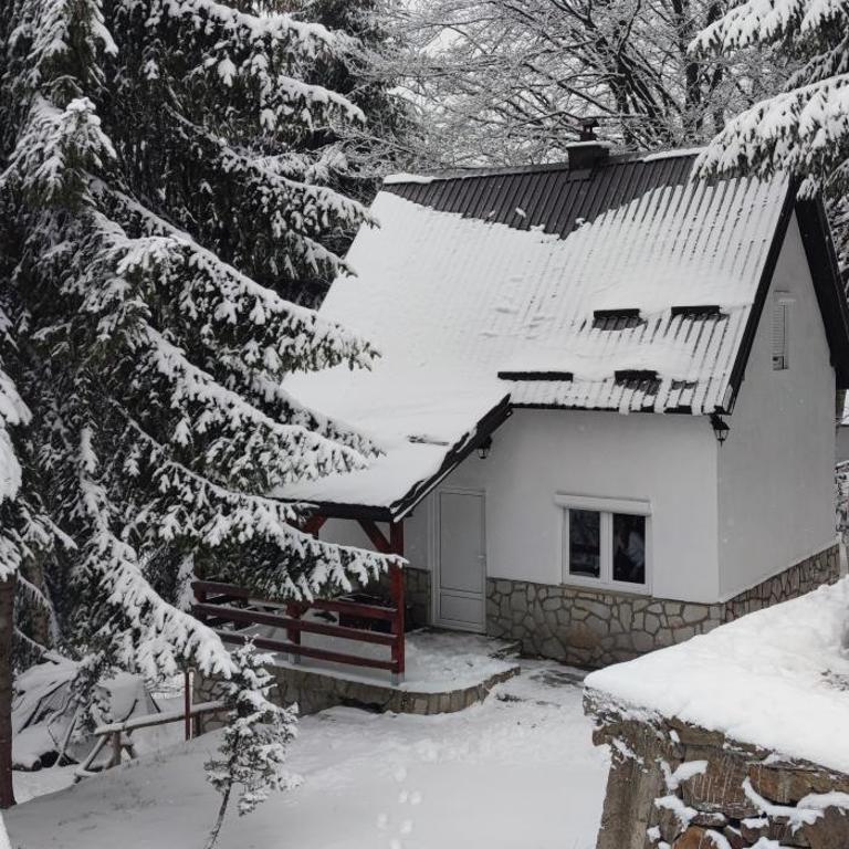 Sova Kopaonik - Two-Bedroom Villa - 1