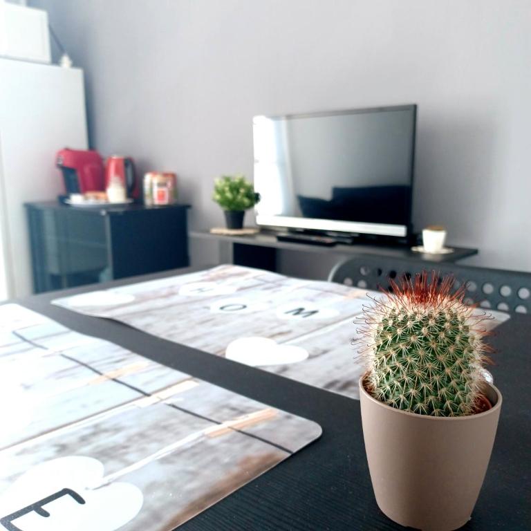 Intero appartamento luminoso e accogliente ! - One-Bedroom Apartment - 10