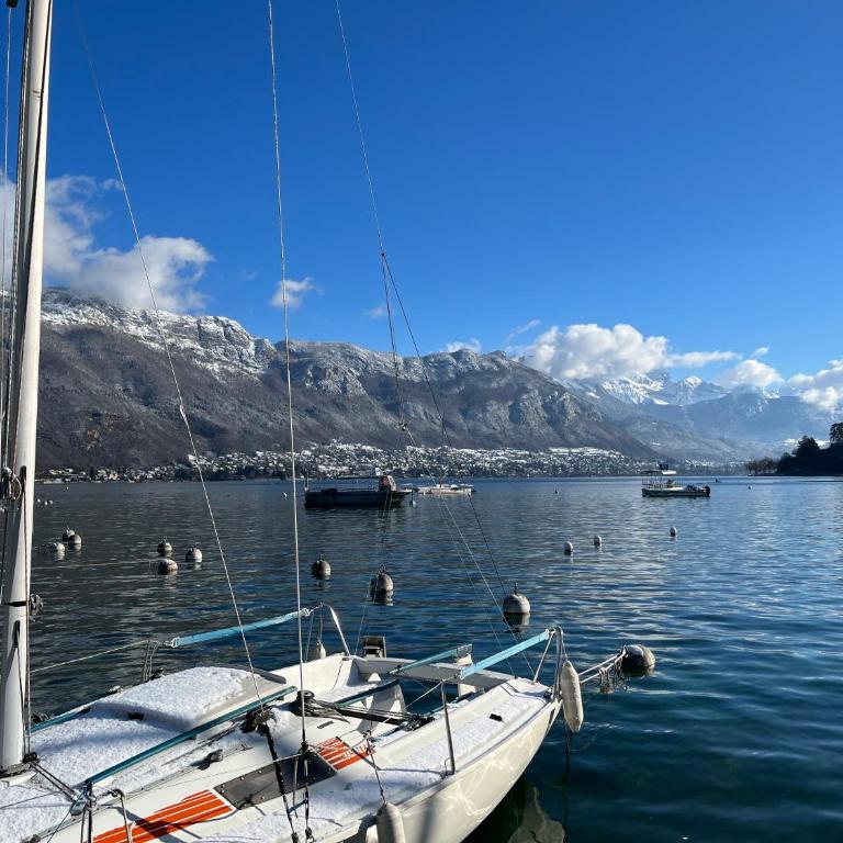 La Sonate Au Bord Du Lac et de la Vieille Ville - Apartment mit 1 Schlafzimmer - 60