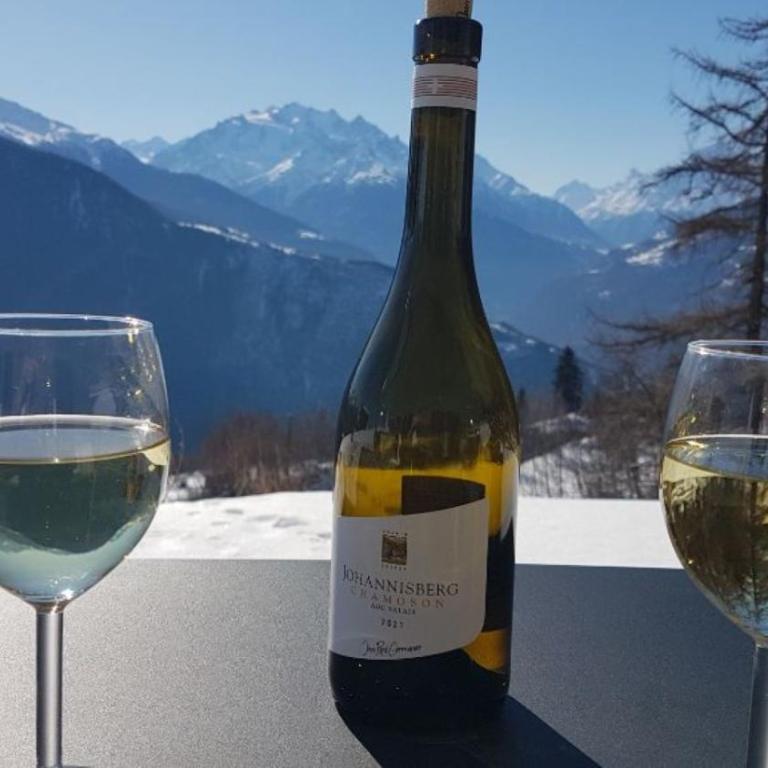 Chalet Matterhornsicht - Appartement avec Vue sur la Montagne - 17