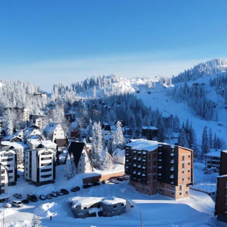 Aspen Apart12 - One-Bedroom Apartment - 25