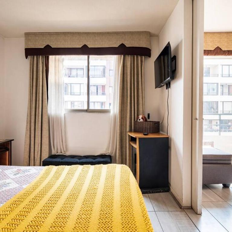 Encantador Departamento Amoblado en Santiago - Apartamento de 1 dormitorio - 9