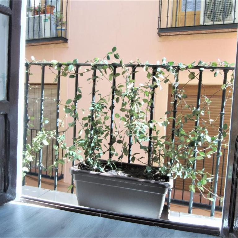 Casa Manuela, Más que una Casa, un Hogar - Apartamento Manuela I de 2 dormitorios - 1ª planta - 8