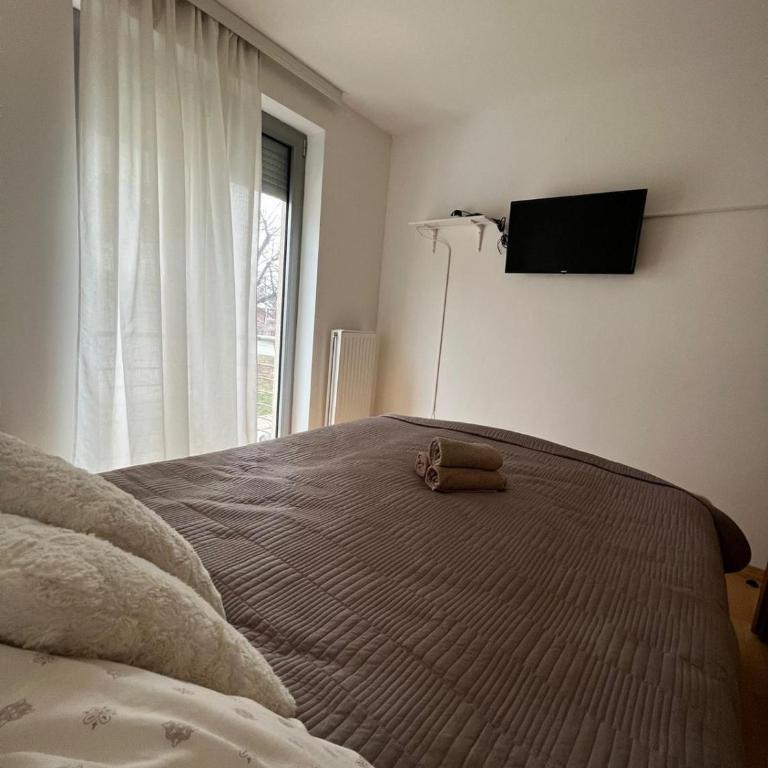 Apartman Danica - Apartman sa 1 Spavaćom Sobom - 17