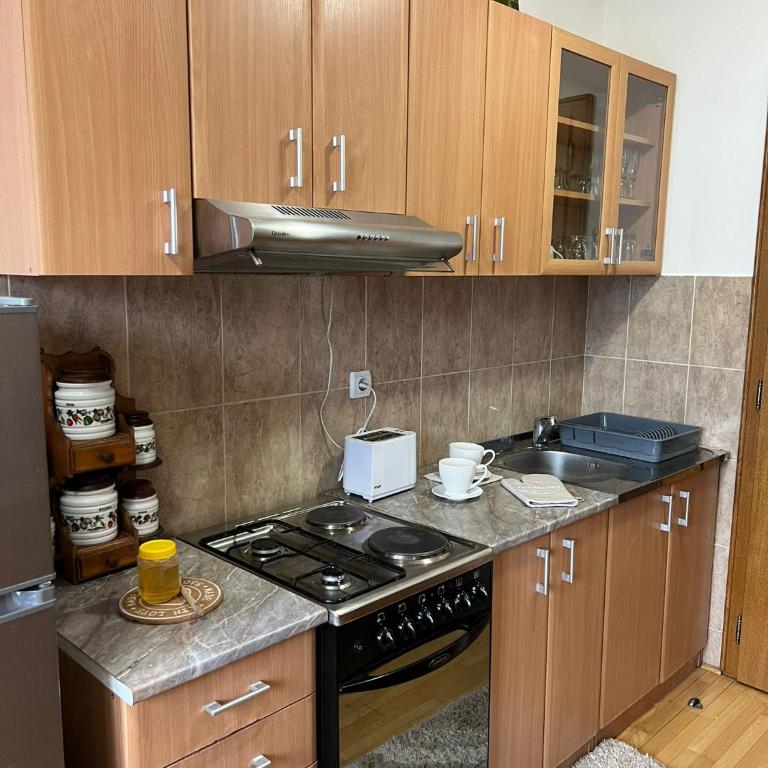 Apartman Danica - Apartman sa 1 Spavaćom Sobom - 19