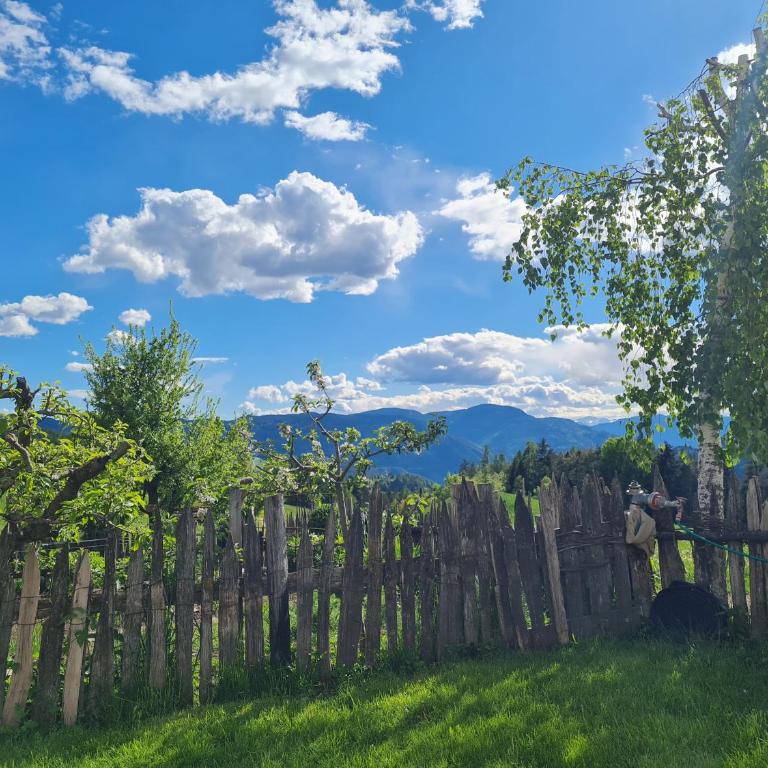 Salmsein Biohof - Appartamento con Vista Giardino - 2