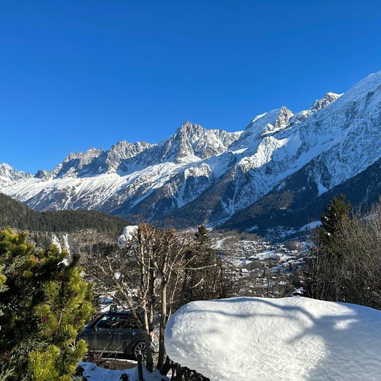 Logement avec jardin et vue panoramique MontBlanc - Appartement 2 Chambres - 1