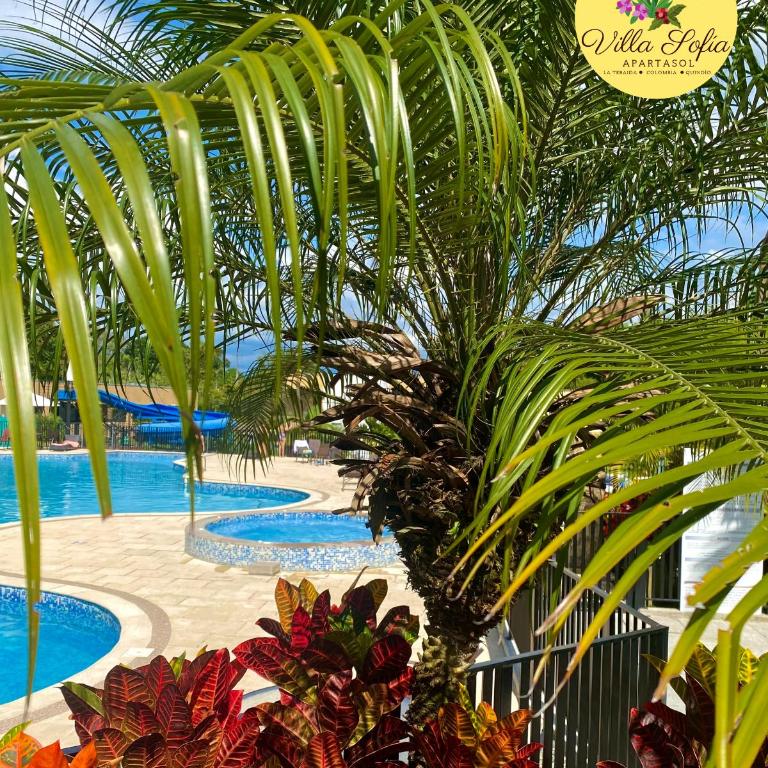Apartasol Villa Sofia, Reserva de la Colina, La Tebaida, Quindio - Apartamento con terraza - 64