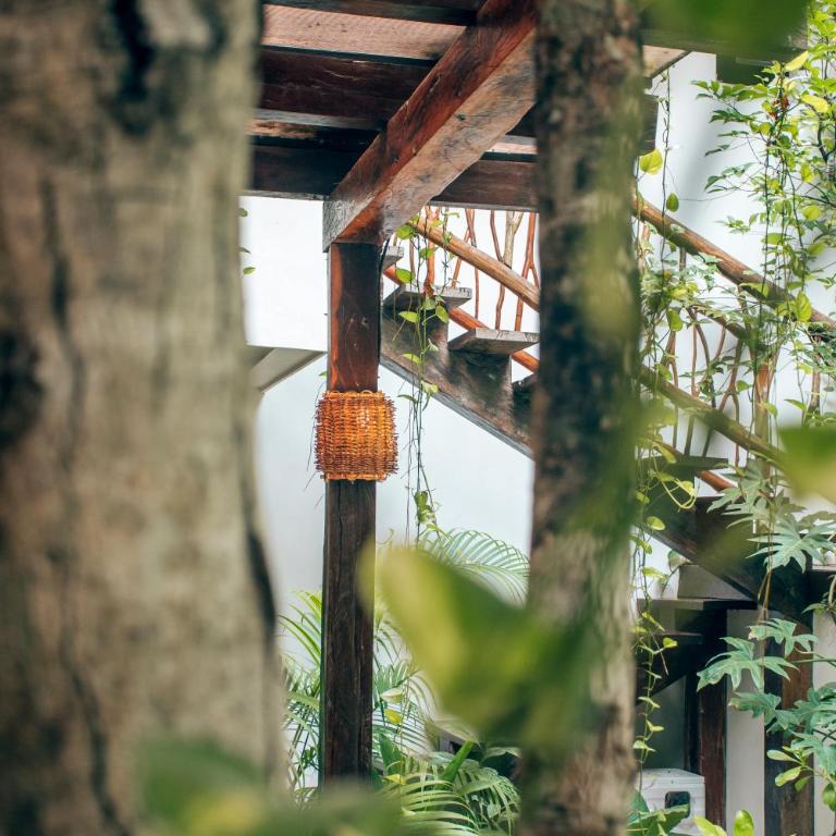 Orchid House Tulum Jungle - Suite con terraza - 1