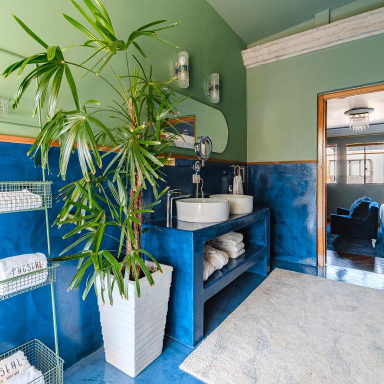 Pug Seal Polanco Anatole France - Suite Presidencial - 3