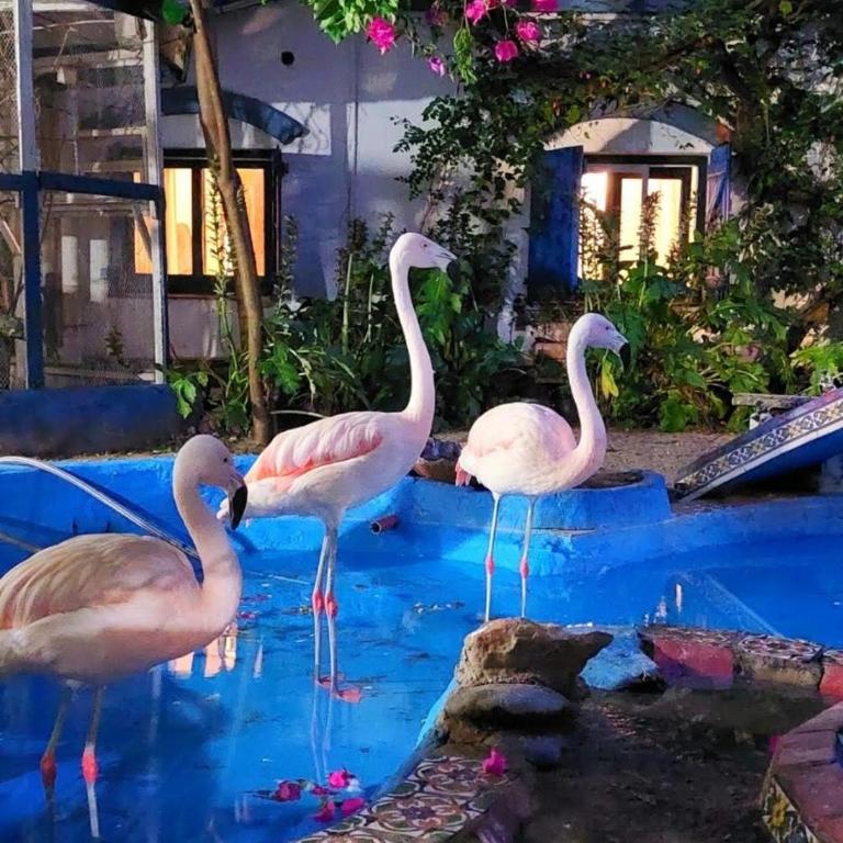 la posada del sol - Budget Twin Room - 6
