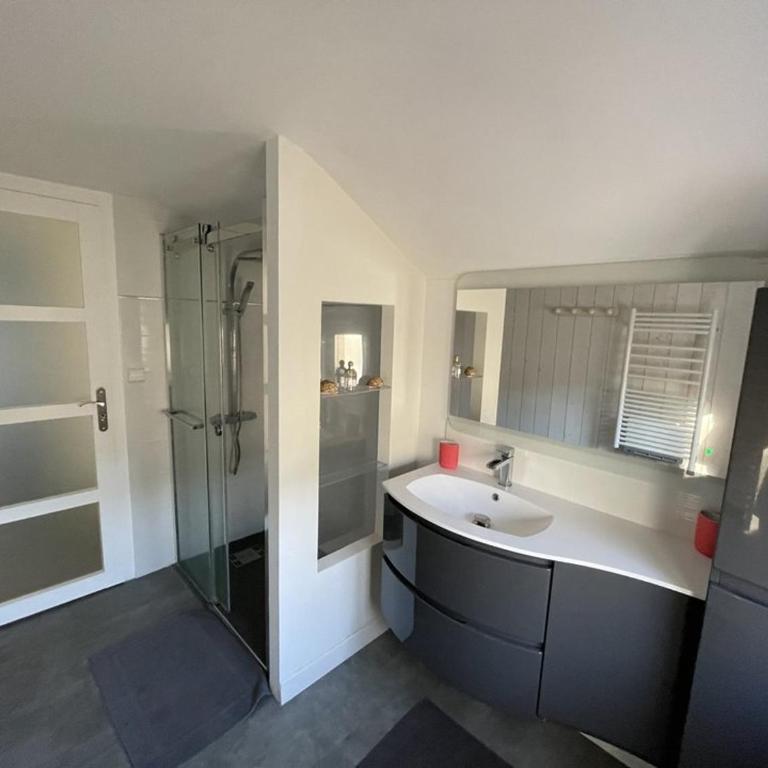 Spacieuse villa avec véranda et jardin à Capbreton - FR-1-413-209 - Villa - 4
