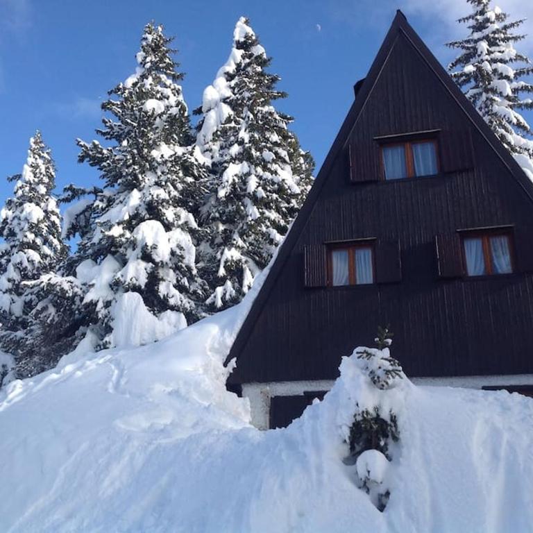 Baita Giggia sulle piste - Cavalese in Trentino Alto Adige cottage chalet - Chalet con 3 Camere da Letto - 1