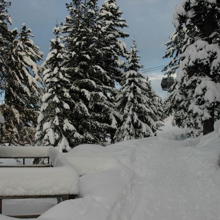 Baita Giggia sulle piste - Cavalese in Trentino Alto Adige cottage chalet - Chalet con 3 Camere da Letto - 14