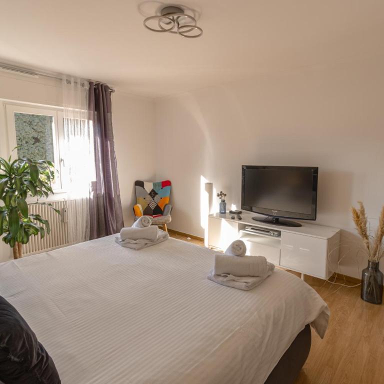 Le gîte de Sabina - Colmar - Appartement avec Terrasse - 3