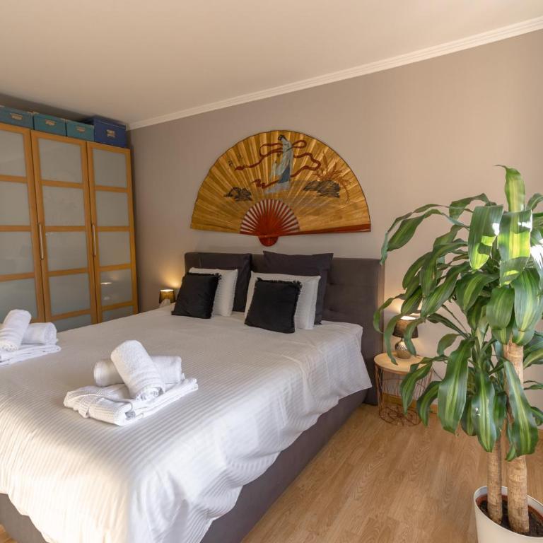 Le gîte de Sabina - Colmar - Appartement avec Terrasse - 2