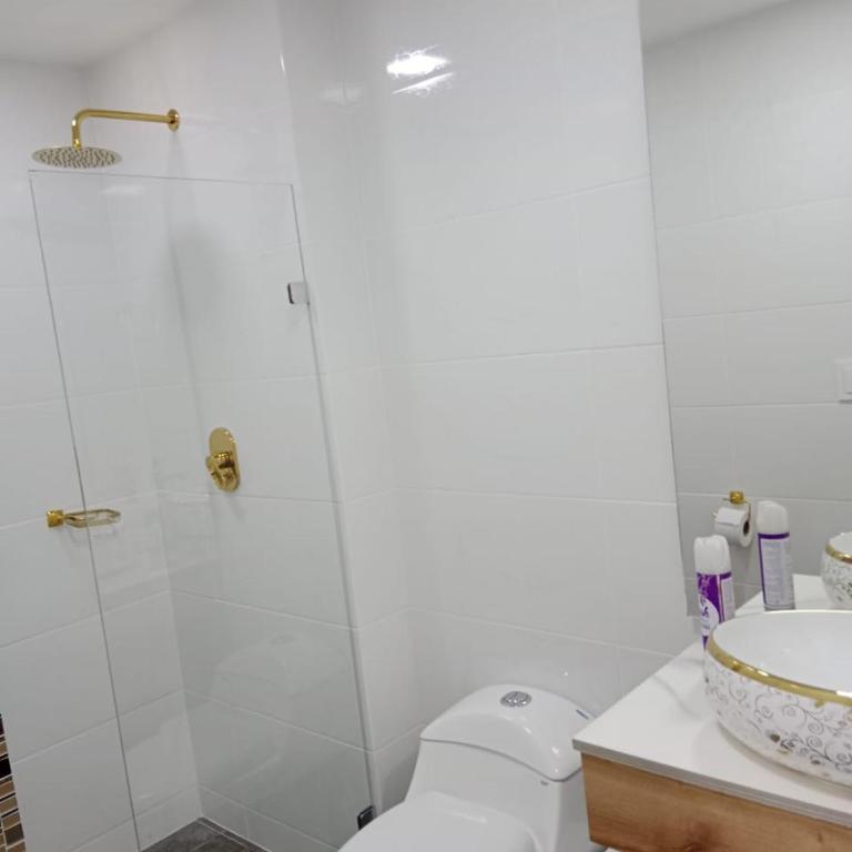 Medellin apartamento en laureles - Three-Bedroom Apartment - 8