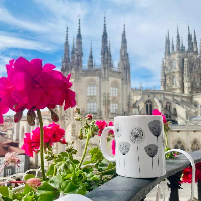 BELLA VISTA Catedral-Apartamentos Burgos Catedral - Apartamento con balcón - 7