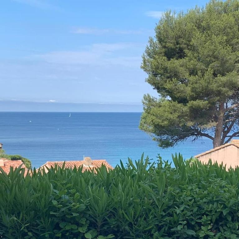 Sanary charmant appartement bord de mer - Appartamento con 2 Camere da Letto - 2