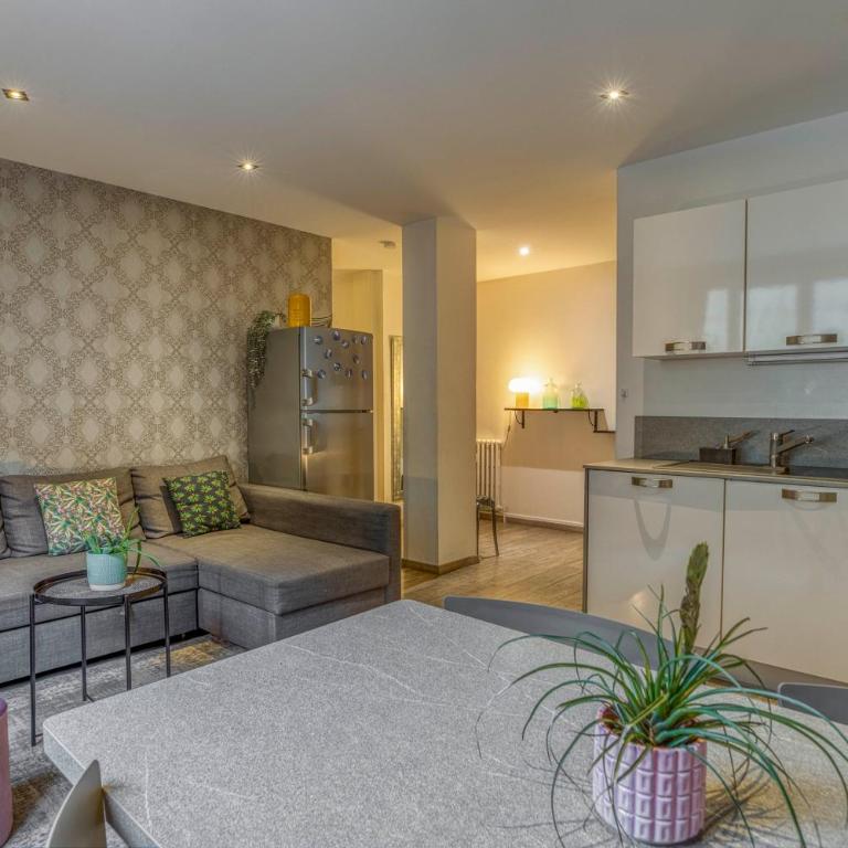Charmant T3 - centre ville - proche du lac - Apartment mit 2 Schlafzimmern - 15