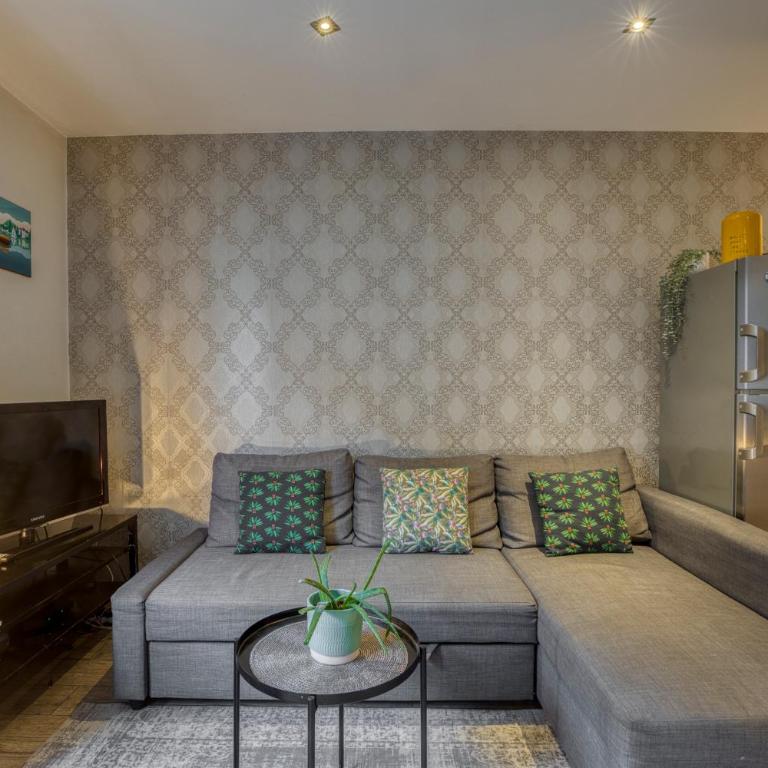 Charmant T3 - centre ville - proche du lac - Apartment mit 2 Schlafzimmern - 12