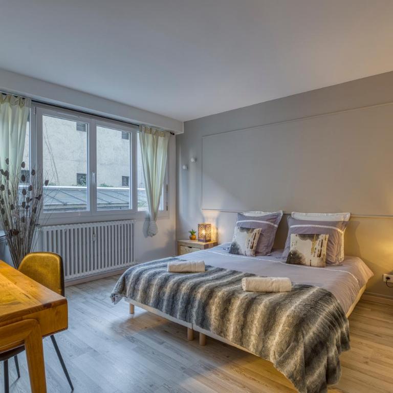 Charmant T3 - centre ville - proche du lac - Apartment mit 2 Schlafzimmern - 2