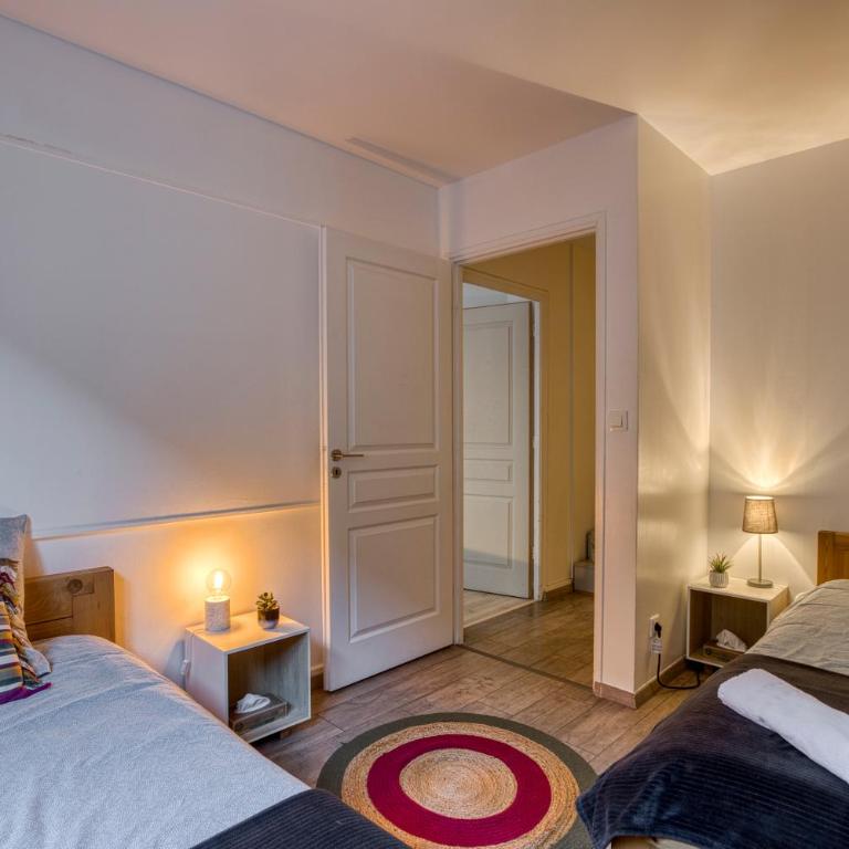 Charmant T3 - centre ville - proche du lac - Apartment mit 2 Schlafzimmern - 8