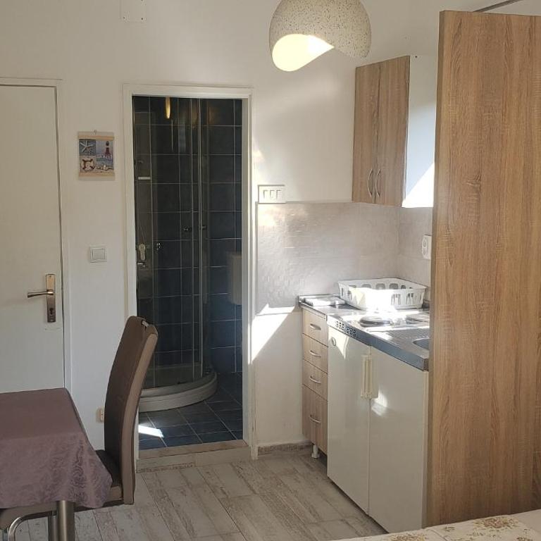 Gregovic Apartments - Studio sa Balkonom - 13
