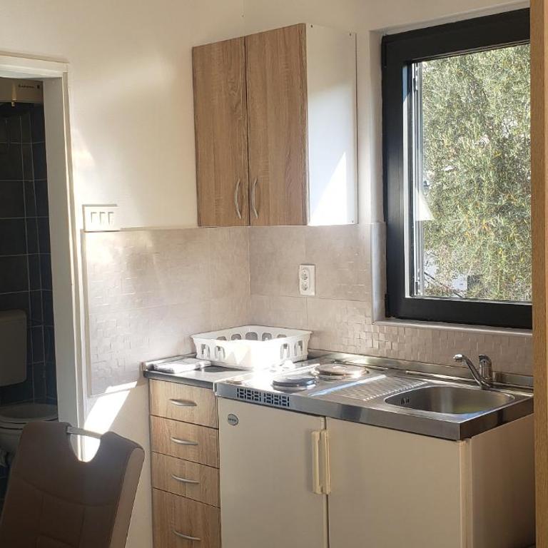 Gregovic Apartments - Studio sa Balkonom - 7