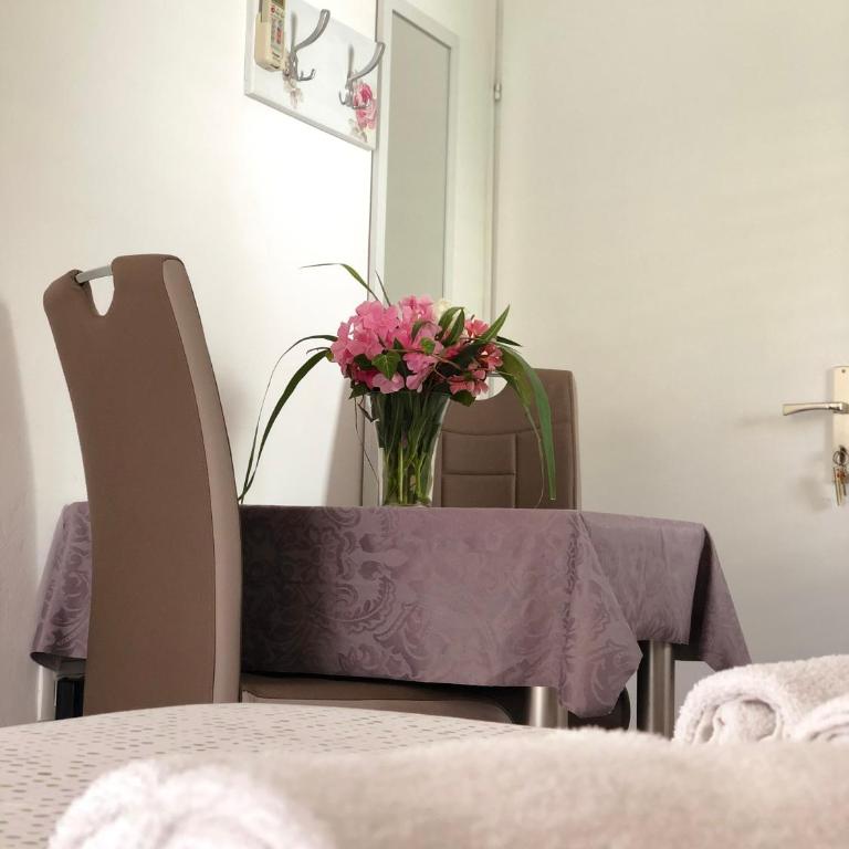 Gregovic Apartments - Studio sa Balkonom - 11