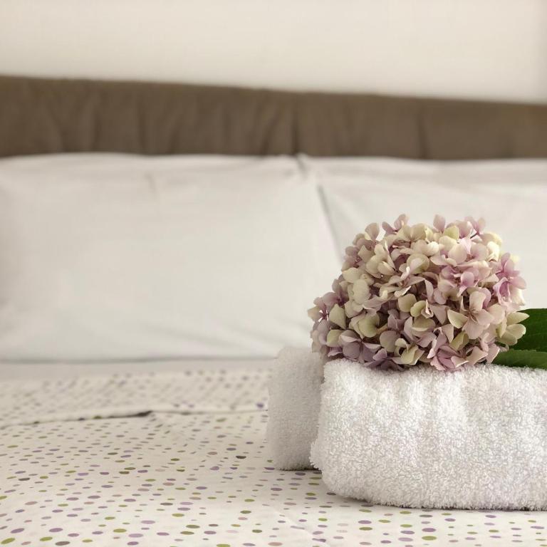 Gregovic Apartments - Studio sa Balkonom - 18